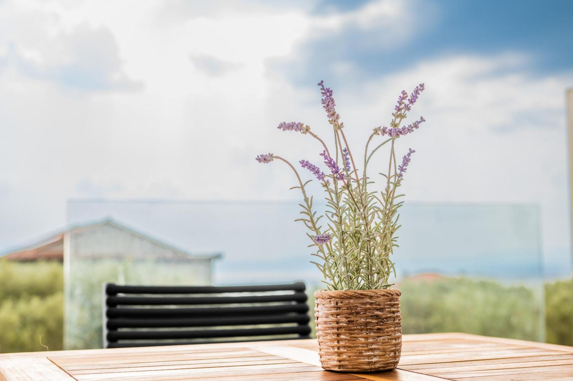 Petradi Suites Καλαμάτα Εξωτερικό φωτογραφία
